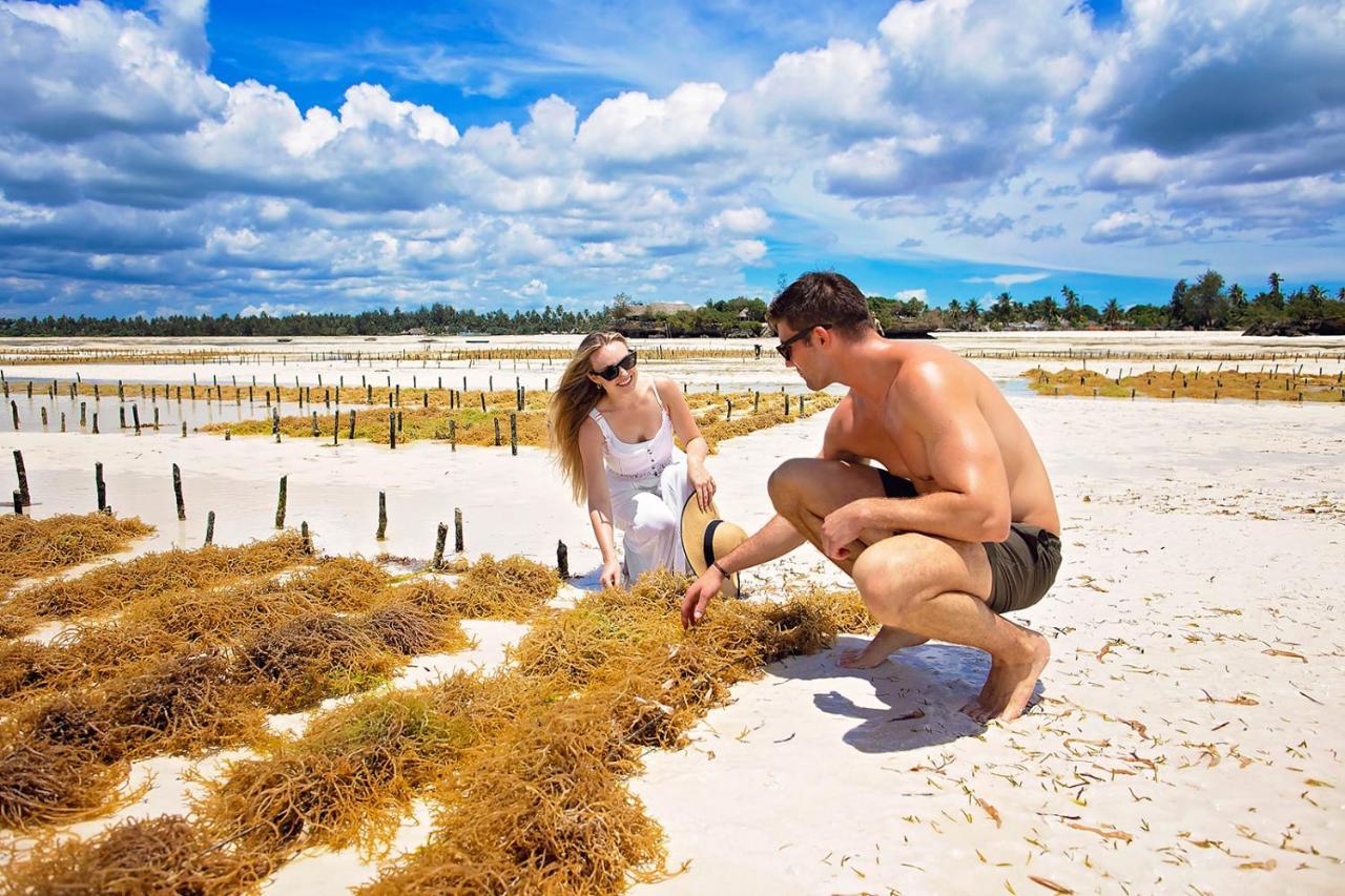 The Island - Pongwe Lodge (Adults Only) Екстер'єр фото